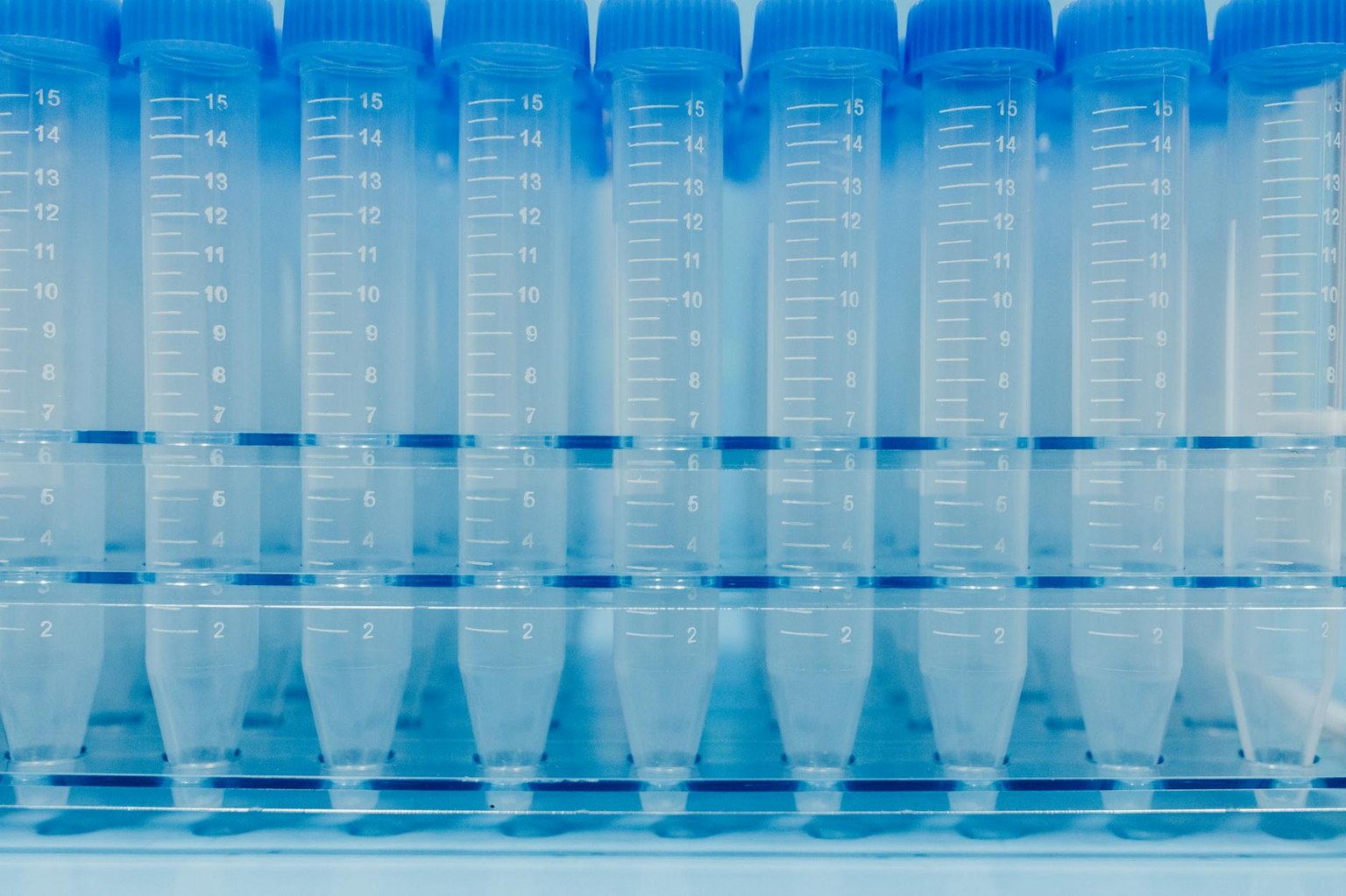 Цистатин C: точный маркер работы почек