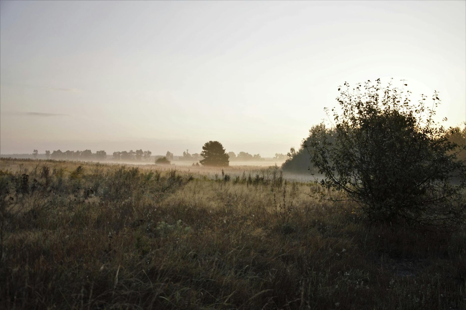 Иллюстрация к статье Эстрадиол (E2): норма по фазам цикла и при климаксе