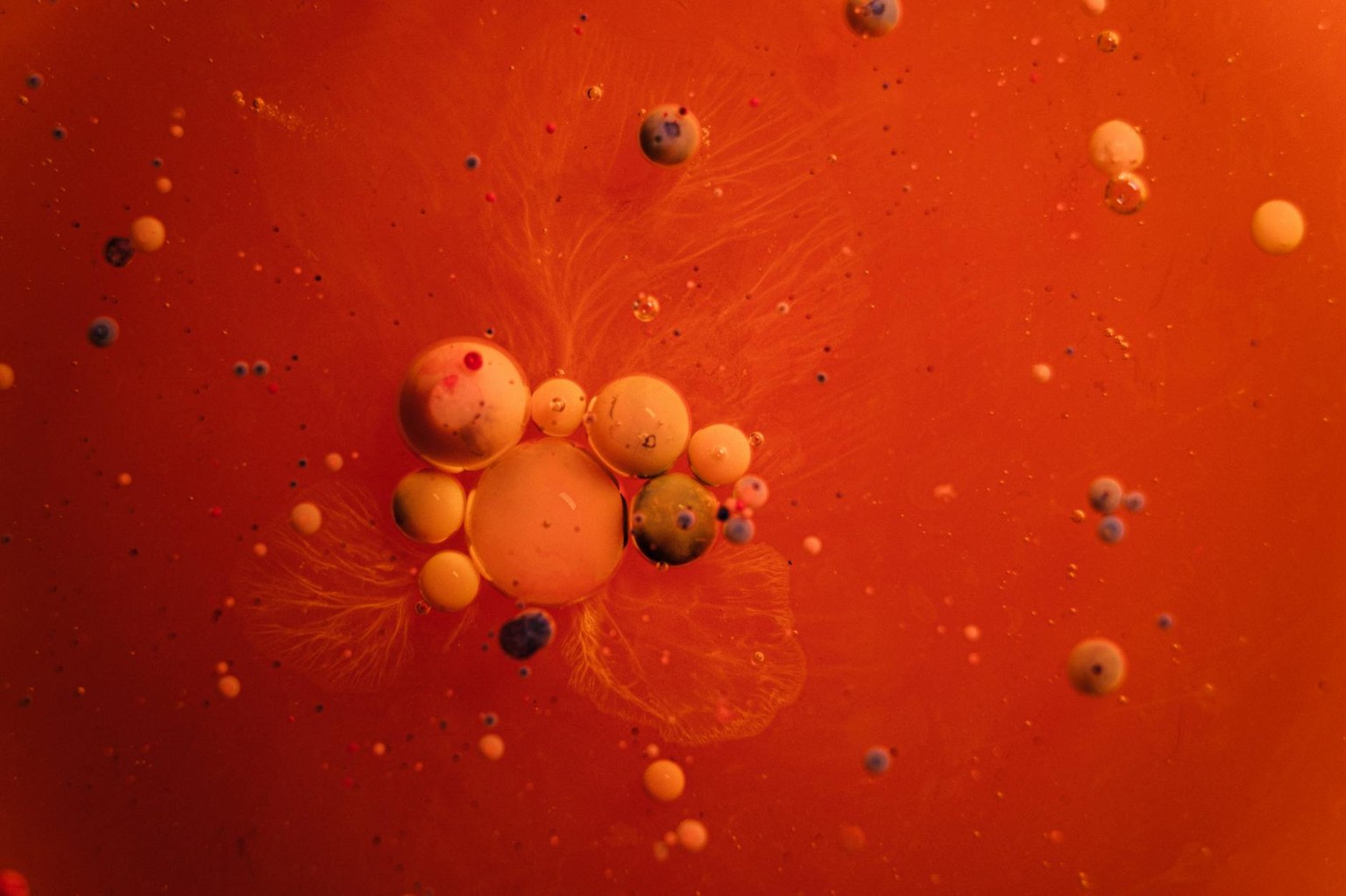 Коагулограмма: полная расшифровка для пациента