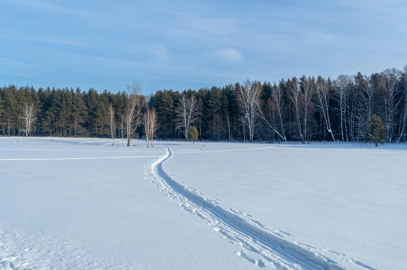Иллюстрация к статье Постковидный синдром: 8 анализов по чек-листу