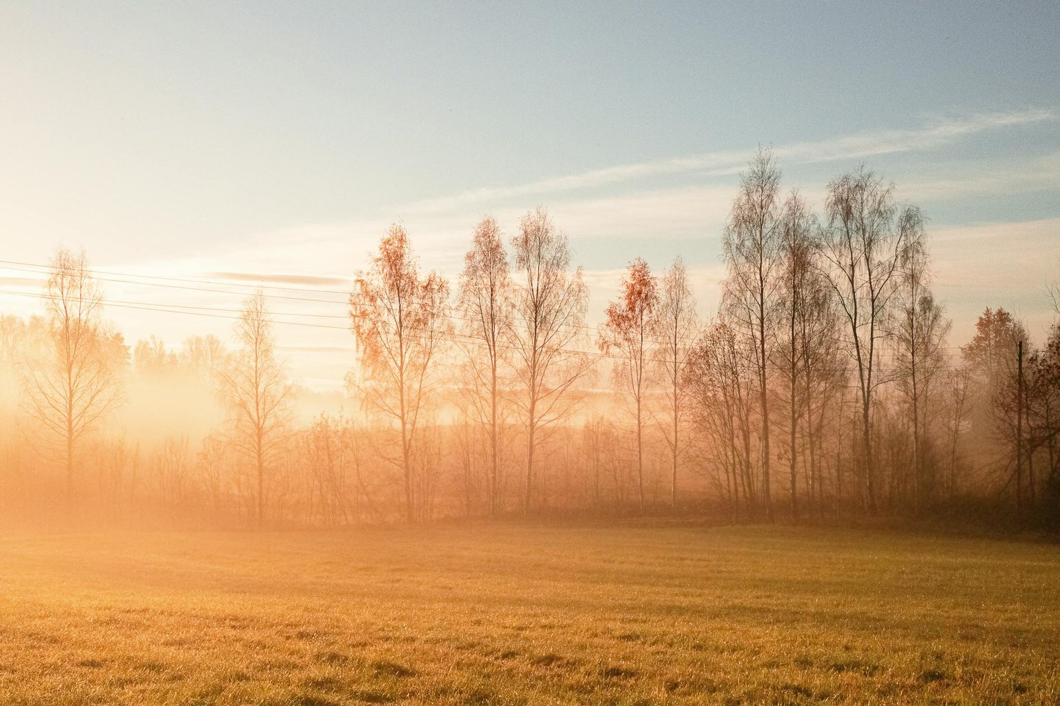 Иллюстрация к статье Прогестерон: норма, когда сдавать и признаки дефицита