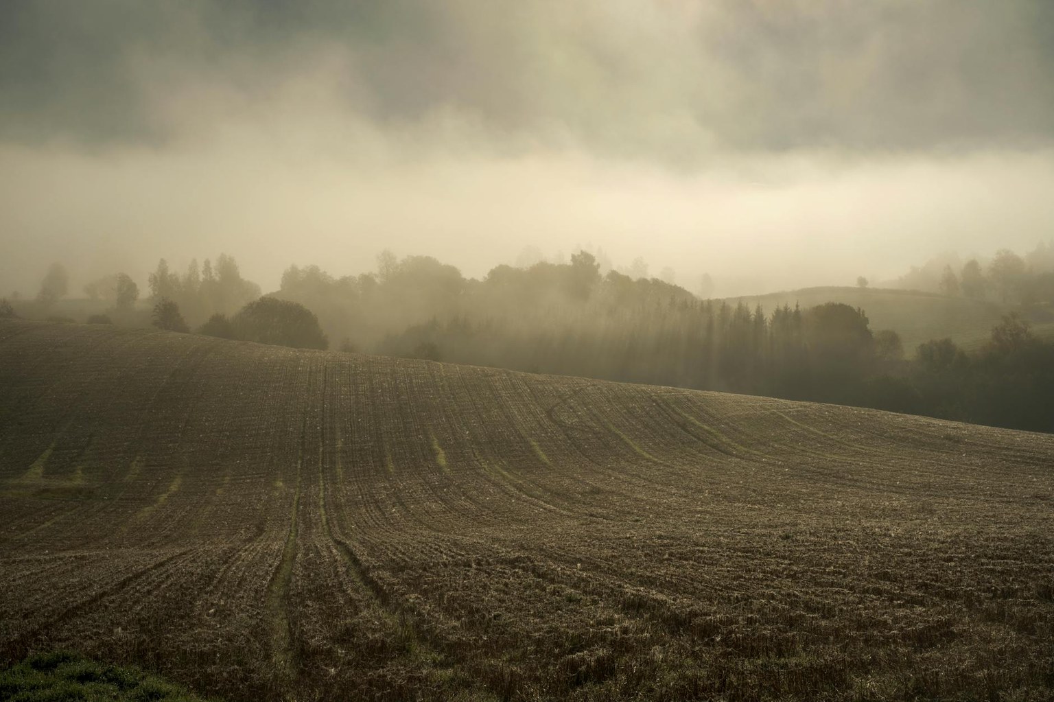 Иллюстрация к статье Пролактин повышен: причины, симптомы, что делать