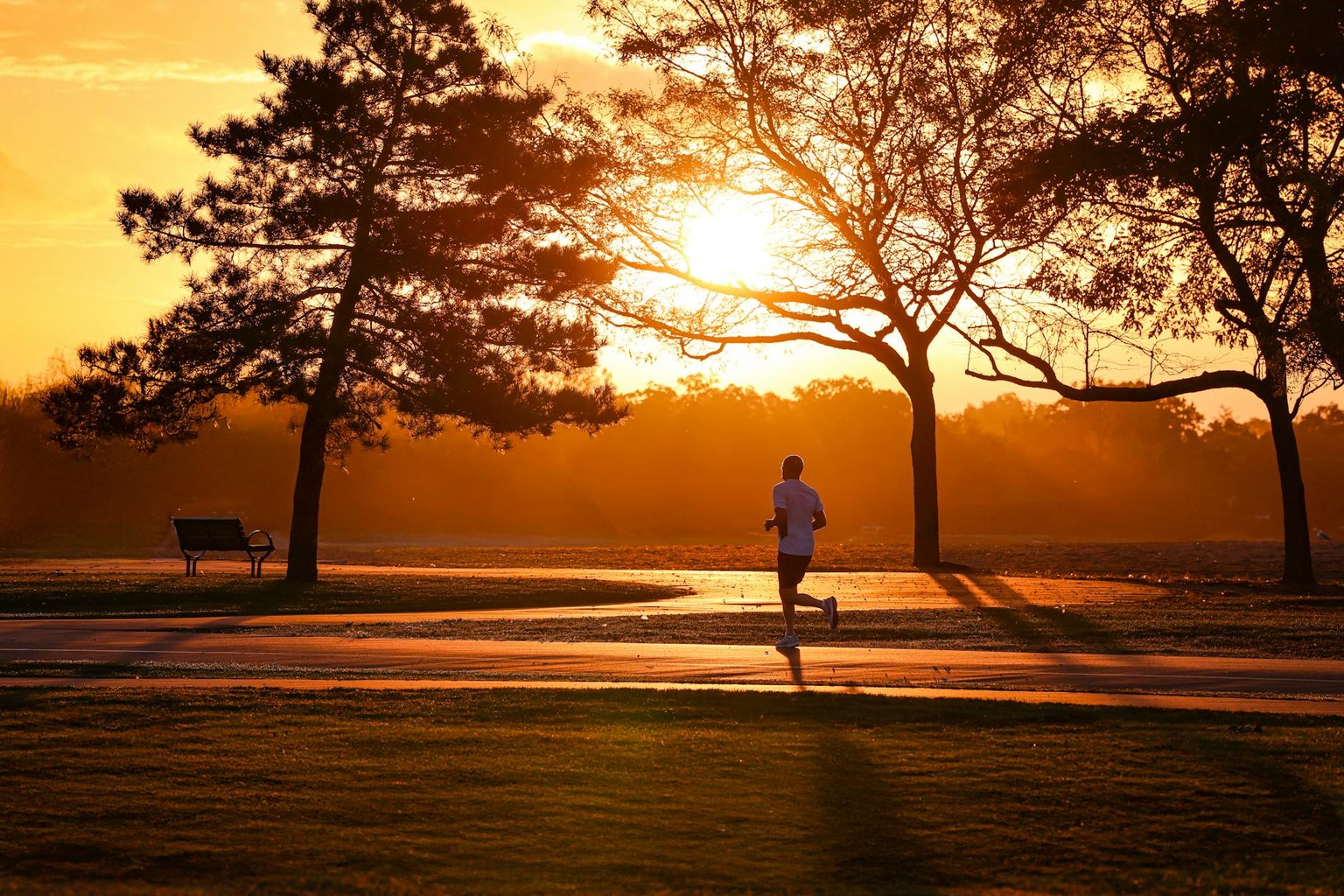 Иллюстрация к статье Сифилис (РВ, TPHA, RPR): что значит каждая строчка