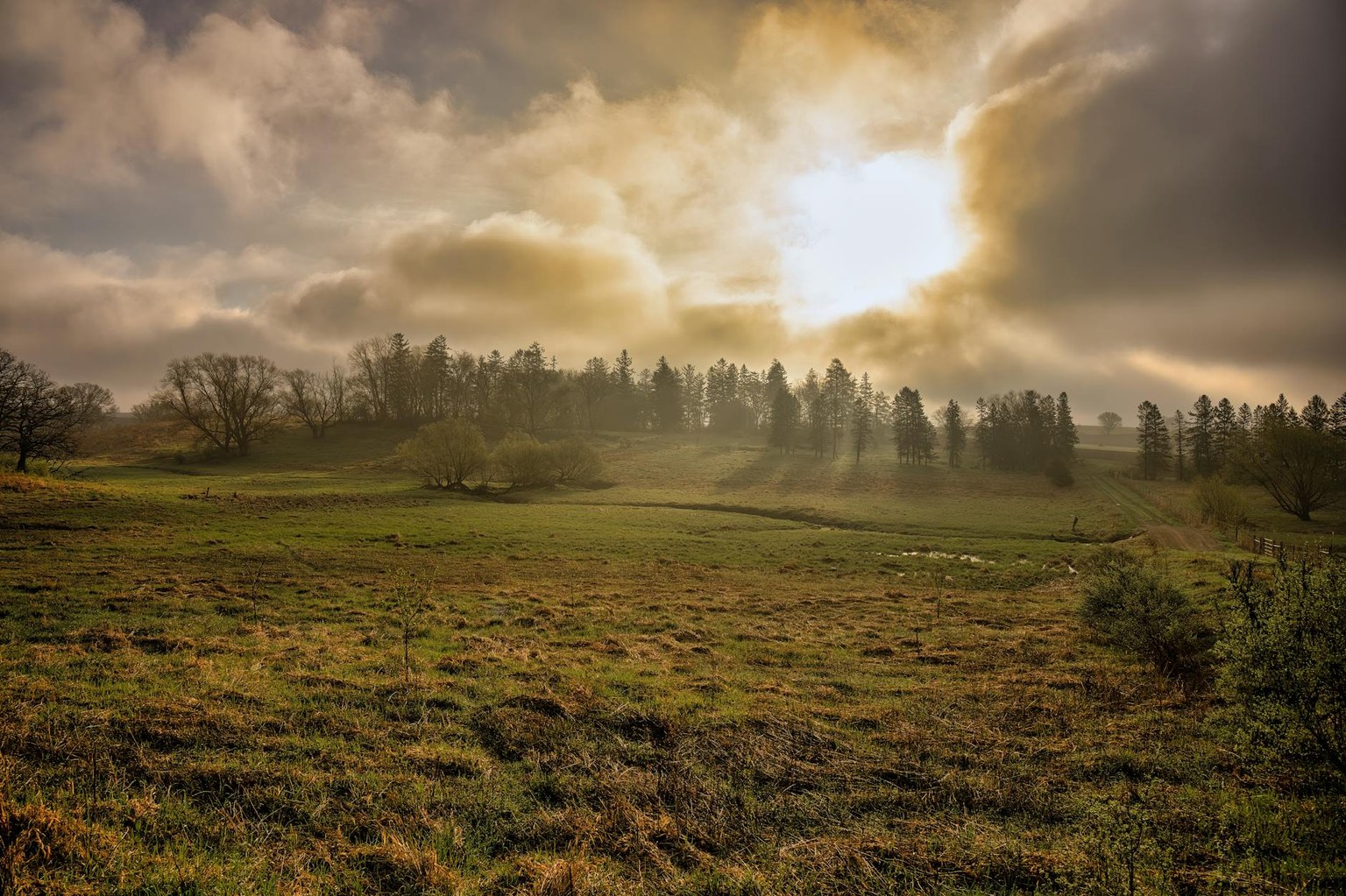 Иллюстрация к статье Тестостерон у мужчин: норма по возрасту и дефицит