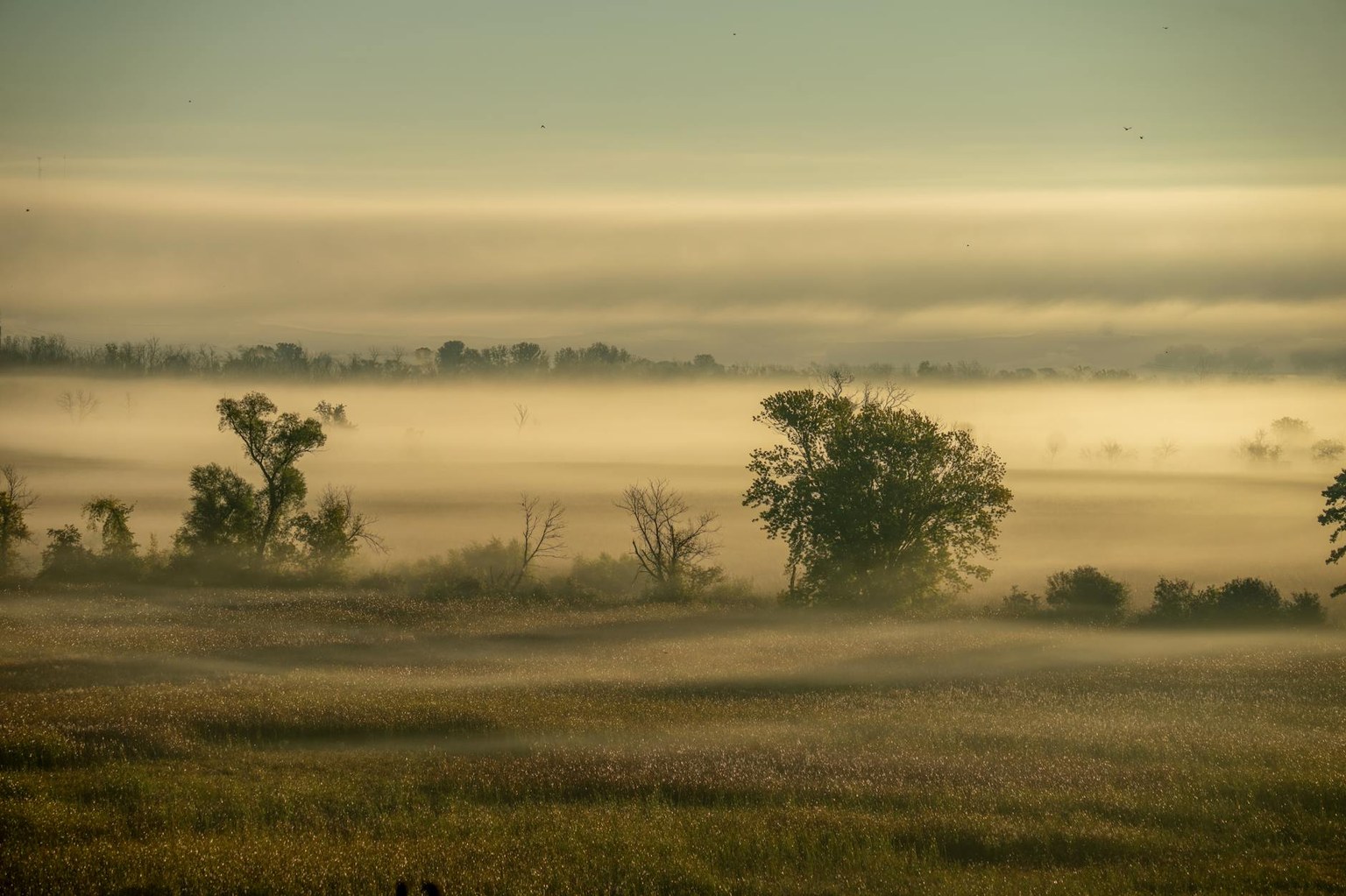 Иллюстрация к статье Тестостерон у женщин: когда повышен и что это значит