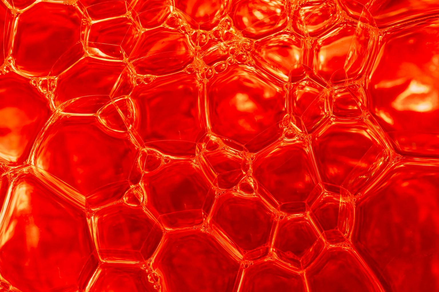 Тромбофилия: генетические анализы и когда их сдавать